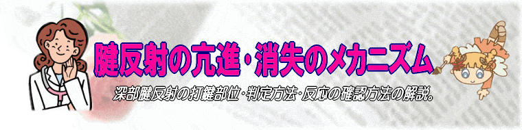 腱反射亢進･消失の知識