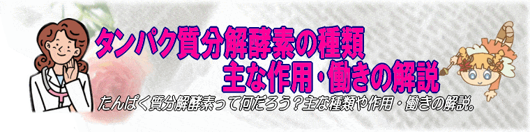 タンパク質分解酵素の種類