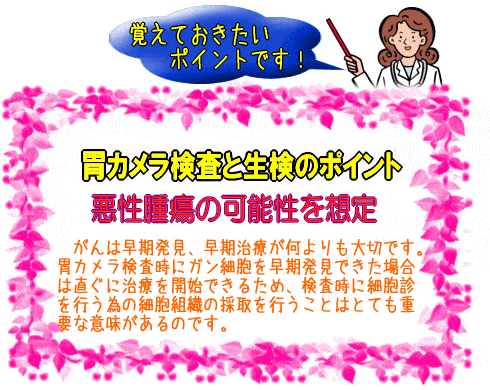 胃カメラ検査と生検のポイント(図)