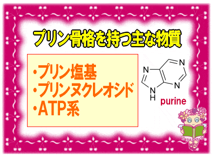 プリン骨格をもつ物質【画像】